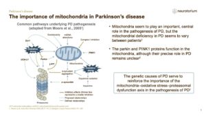 The importance of mitochondria in Parkinson’s disease